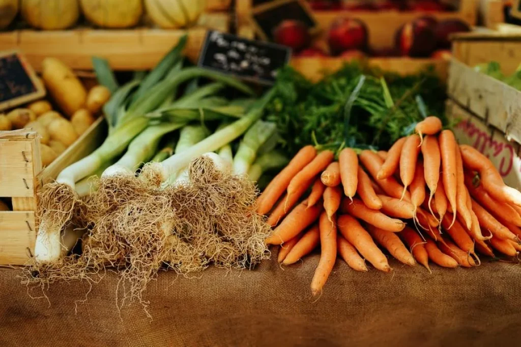 Légumes du jardin : carottes, poireaux, pomme de terre.